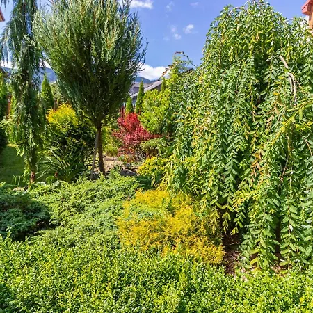 Hytte Zoriana Tatariv