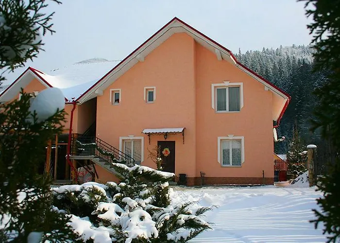 Orman Evi Zoriana Tatariv